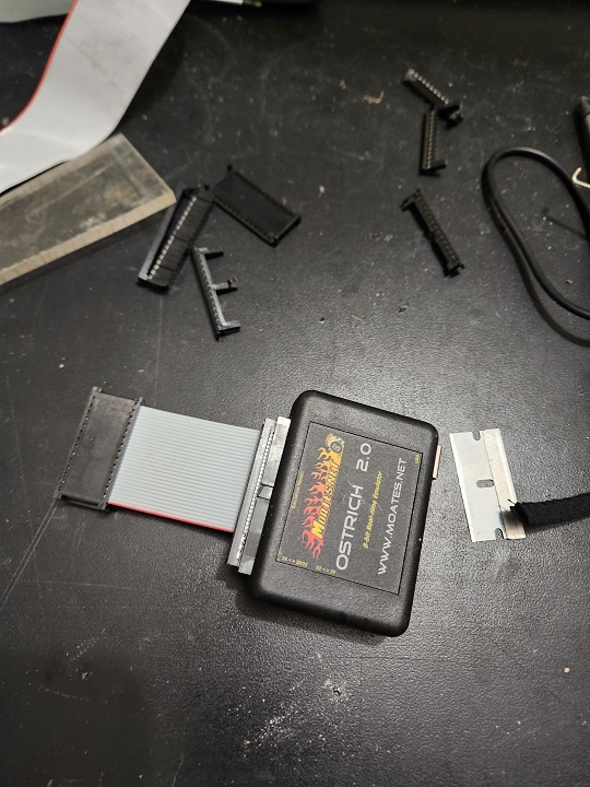 ostrich short cable.jpg